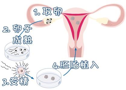 丹韵生殖医学中心